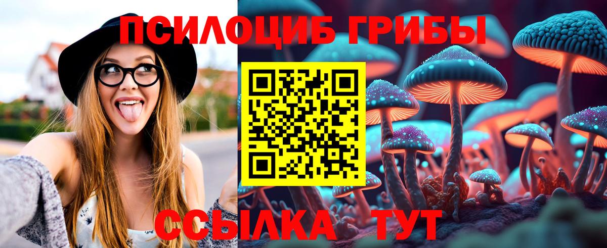 Галлюциногенные грибы Magic Shrooms  Псилоцибиновые грибы прущие грибы  Сальск  дарнет шоп  Вход с VPN 